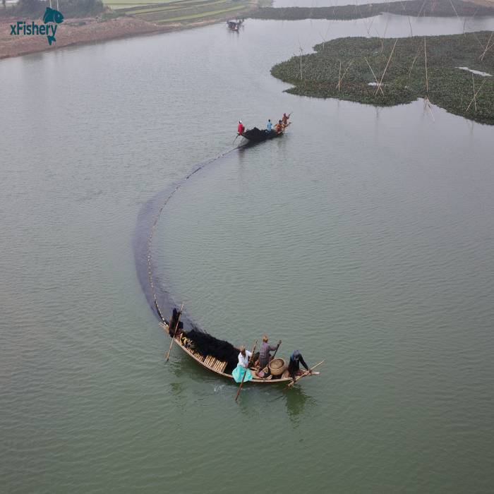 Village ponds in Bangladesh